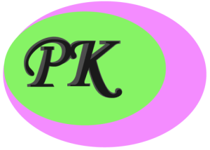 PK Chem Industries logo
